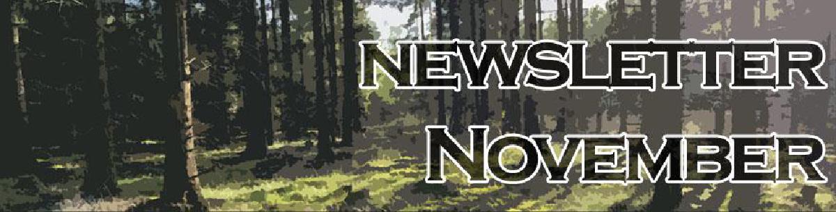 Newsletter: Nachtaktiver November